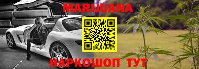 Альфа ПВП Сланцы