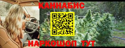 винт Славгород